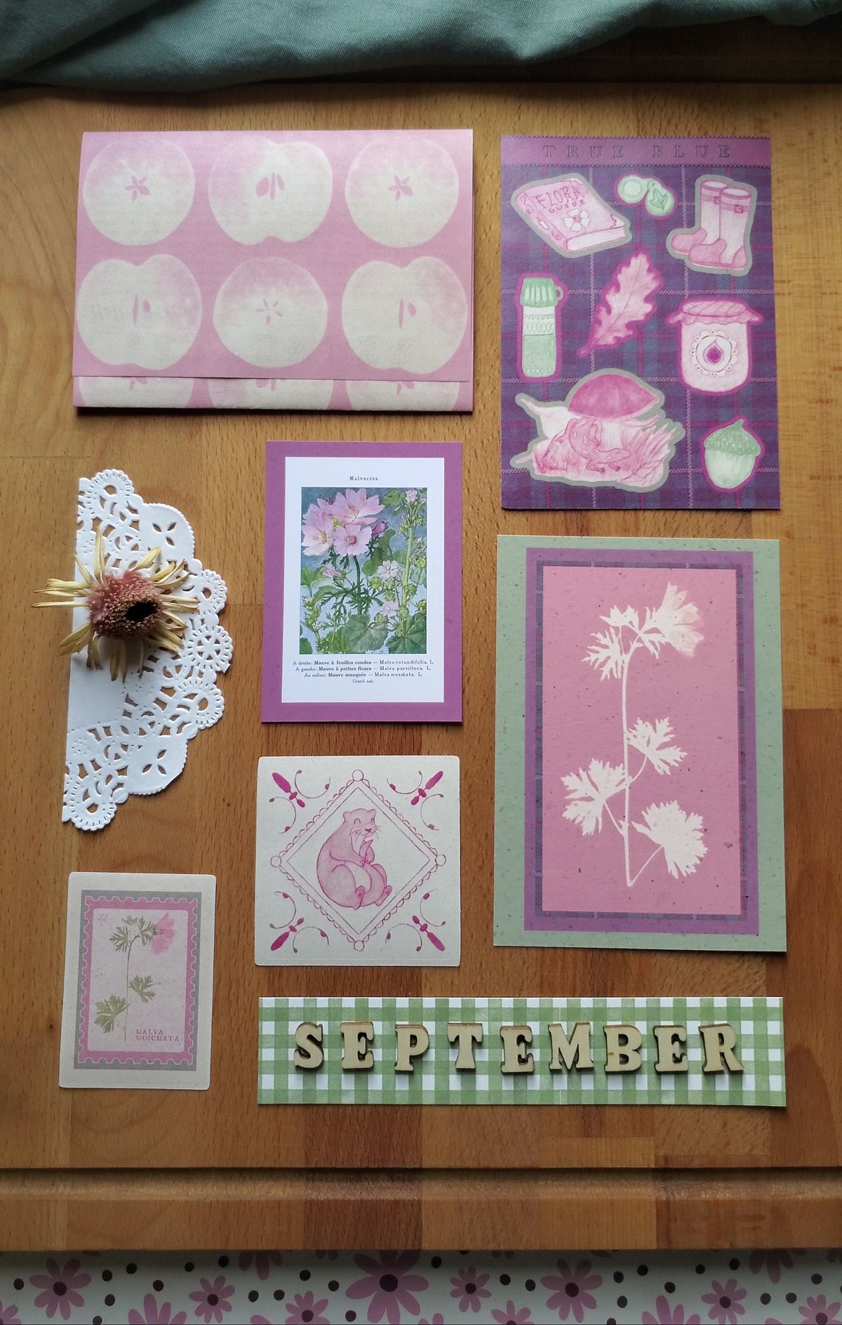 Catch Up Mail: September 2026