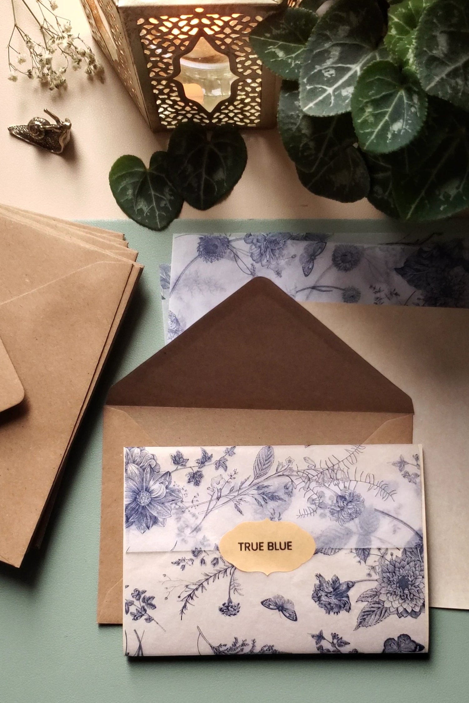 Envelope opened, showing a wrapped post card. The post card has not been reveled. Closed with True Blue logo sticker.